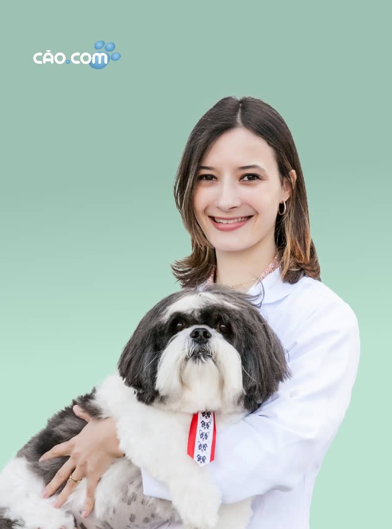 Clinica hospital veterinário florianopolis 24 horas cão.com MV Lenara Gonçalves e Souza Araújo
