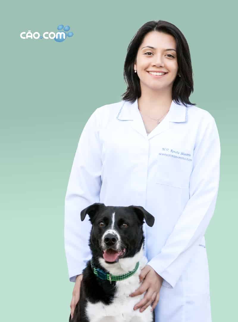 Clinica hospital veterinário florianopolis 24 horas cão.com renata-pegoraro-silvestrin