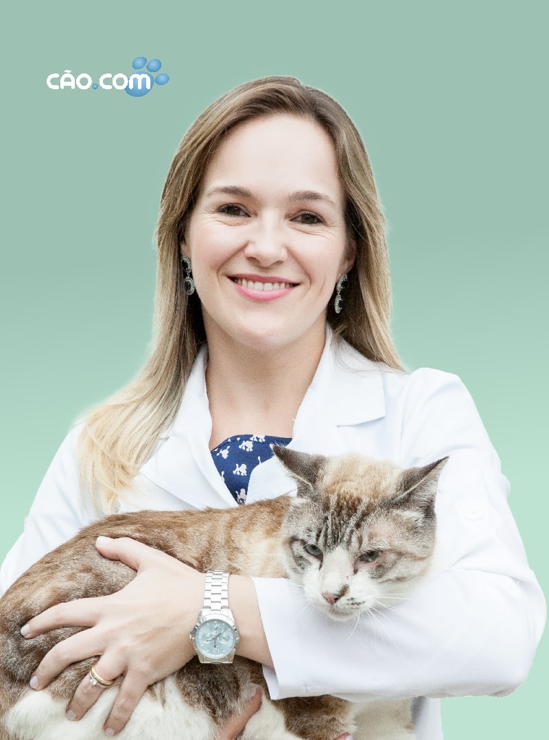 Clinica hospital veterinário florianopolis 24 horas cão.comcamila-coelho-e-silva