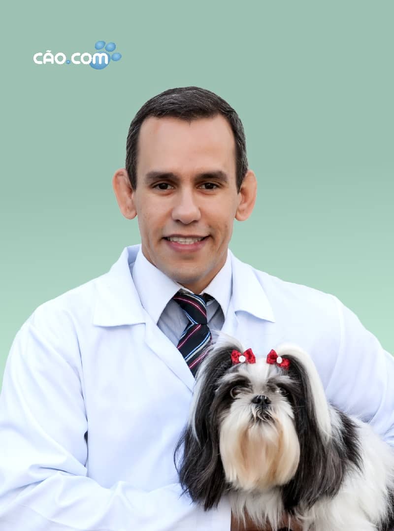 Clinica hospital veterinário florianopolis 24 horas cão.comeduardo-gianini-xavier_2