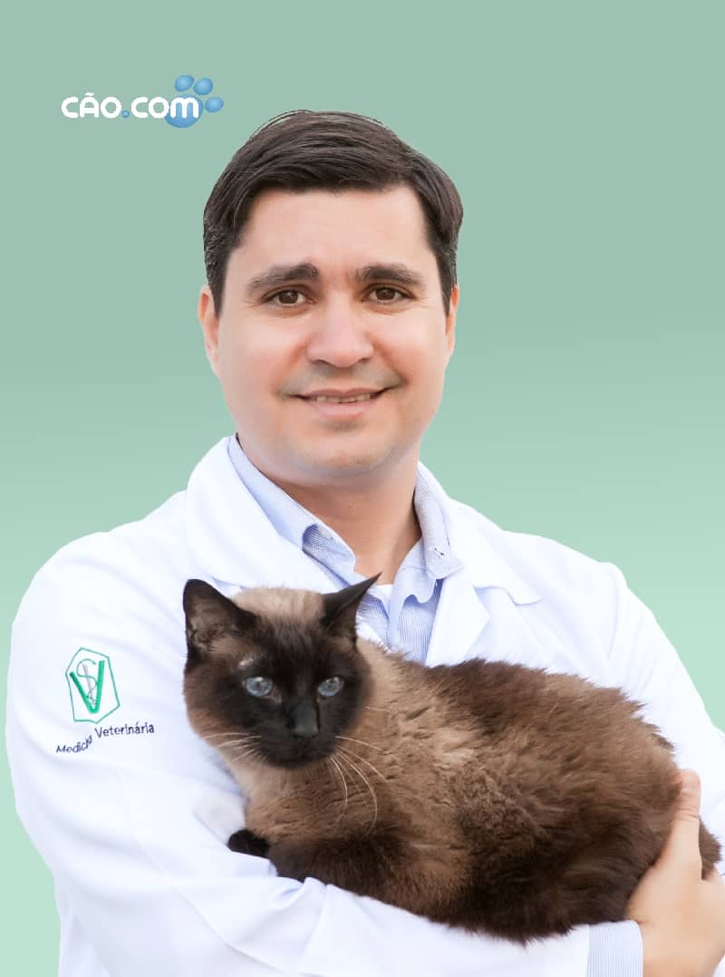 Clinica hospital veterinário florianopolis 24 horas cão.comluciano-granneman-e-silva_2