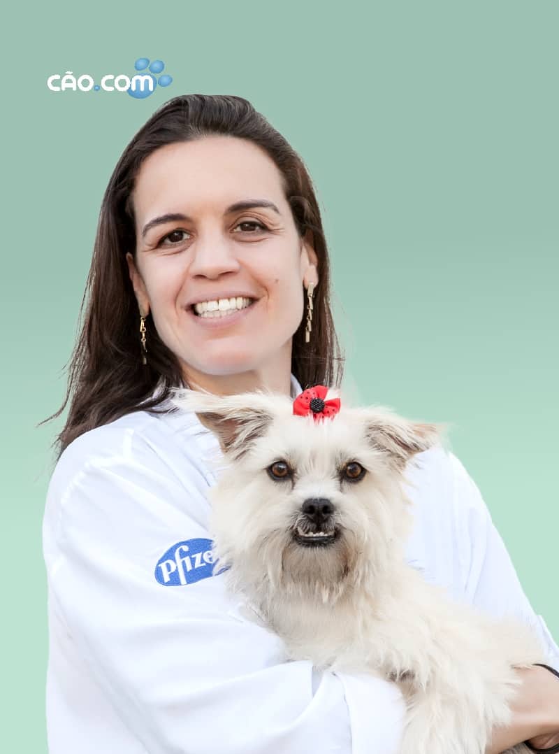 Clinica hospital veterinário florianopolis 24 horas cão.comMV Carla Lodi Boutigue
