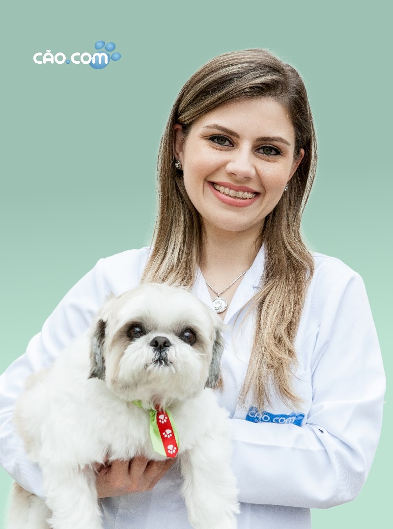 Clinica hospital veterinário florianopolis 24 horas cão.compriscilla-merlin