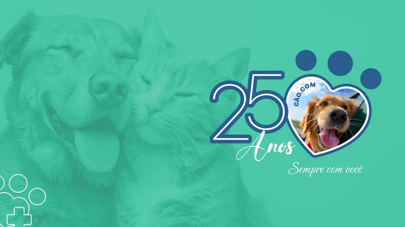 Cão.Com: 25 Anos de Amor, Inovação e Cuidado com a Vida Animal