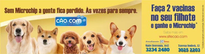 microchip pet cao cm veterinarios florianopolis