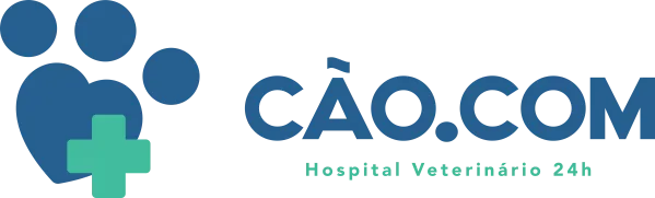 cao-com-novo